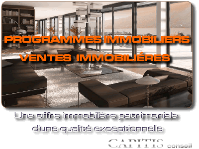 ss-menu_immobilier2