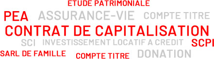 RESTRUCTURER VOTRE PATRIMOINE /ETUDE PATRIMONIALE, ASSURANCE-VIE, CONTRAT DE CAPITALISATION, PEA, COMPTE TITRE, INVESTISSEMENT LOCATIF A CREDIT, SCPI, SCI, SARL DE FAMILLE, DONATION